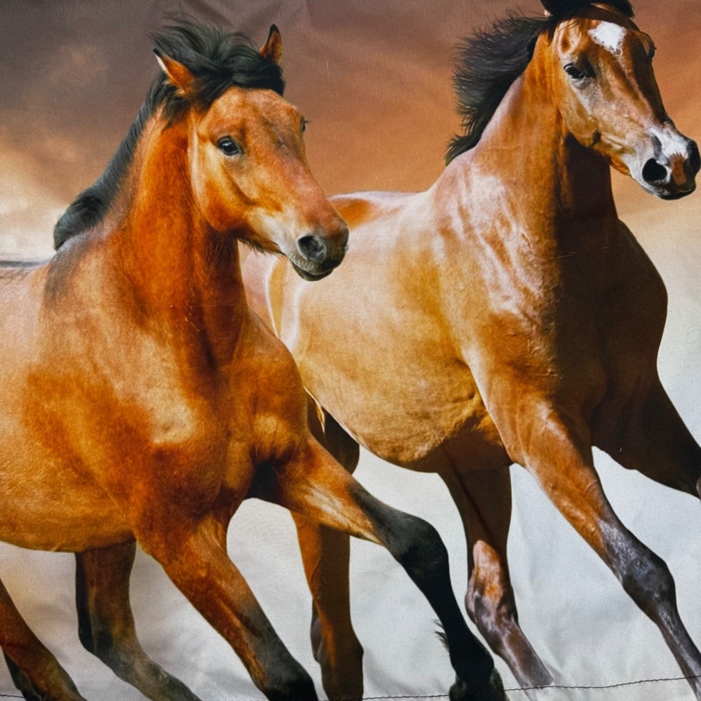 Running‎ Wild Horses Pillow Shams Set of 2 Western Equestrian Brown Graphic Soft